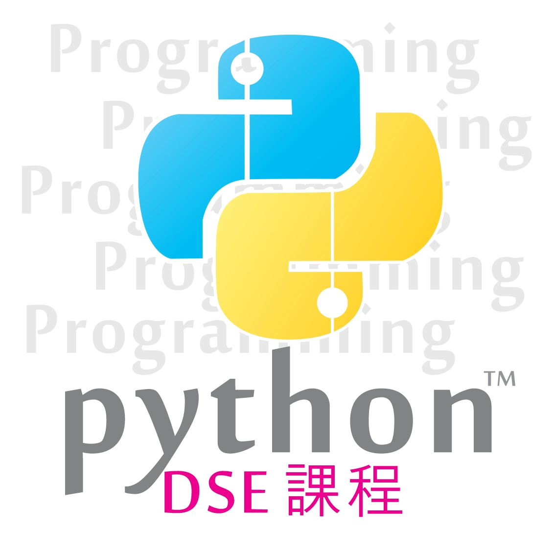 Python (DSE 課程)