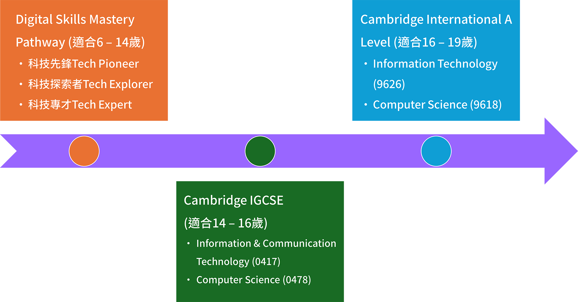 Digital Skills Mastery Pathway 進陞圖表